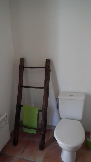 Coin WC